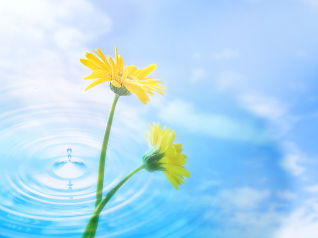 Google Action Script